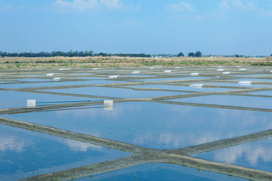 Fleur de Sel